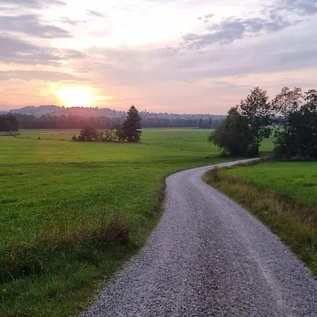 公寓 Bienenhaus #bergblick Im Sonnenhof *