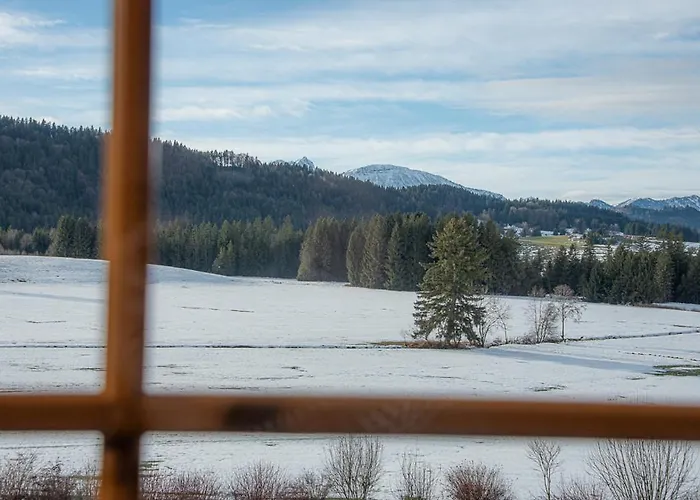 Bienenhaus #bergblick Im Sonnenhof
