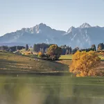 Lejlighed Bienenhaus #bergblick Im Sonnenhof