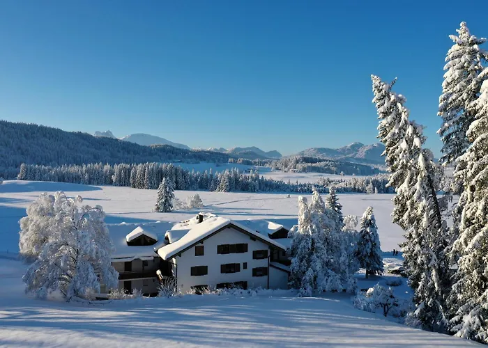 Bienenhaus #bergblick Im Sonnenhof * Seeg